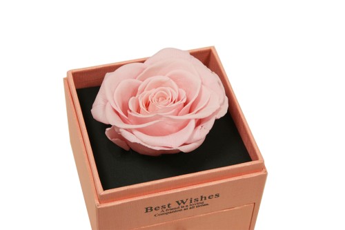 Konservierte rosa Box, rosa Schmuckschatulle mit Schublade